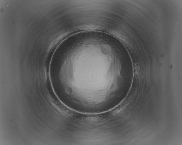 X0000073700302200608171120