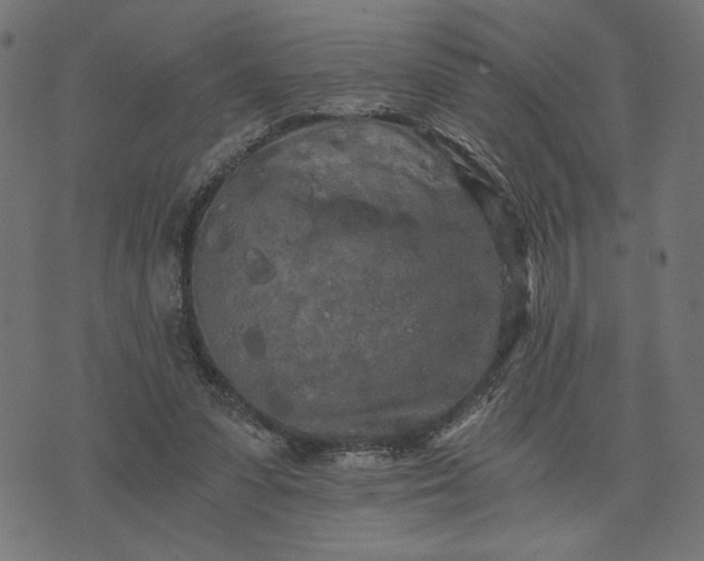 X0000073700303200608171120