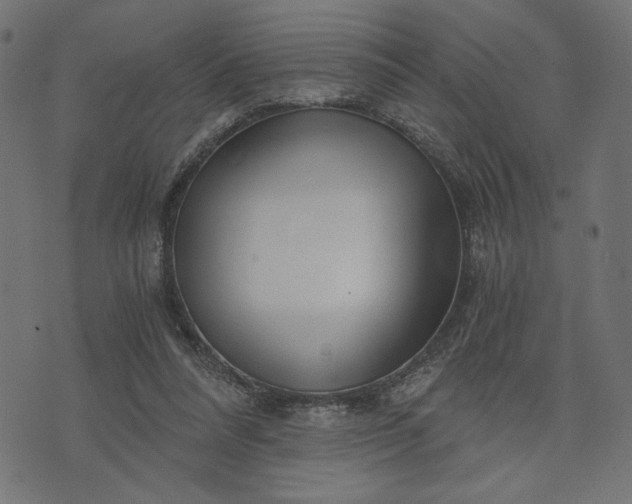 X0000073700304200608171120