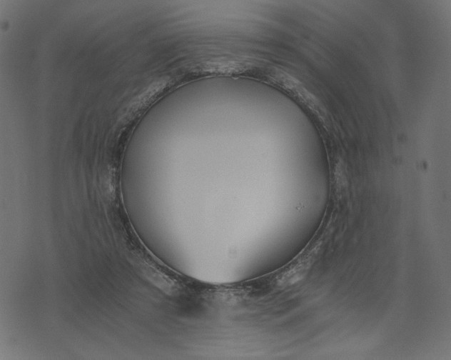 X0000073700305200608171120