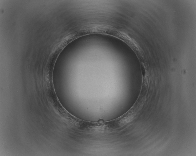 X0000073700306200608171120