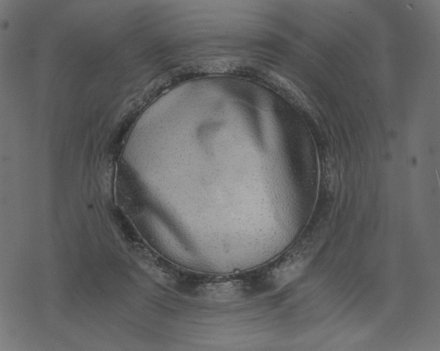 X0000073700307200608171120