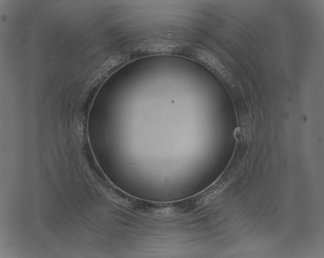 X0000073700309200608171120