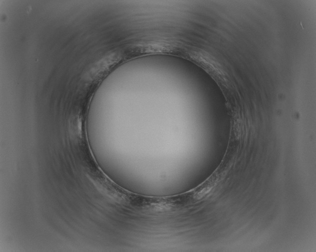 X0000073700310200608171120