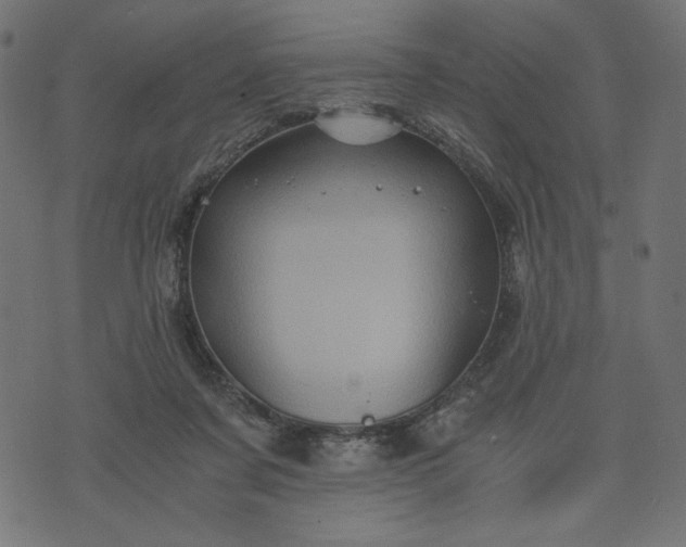 X0000073700311200608171120