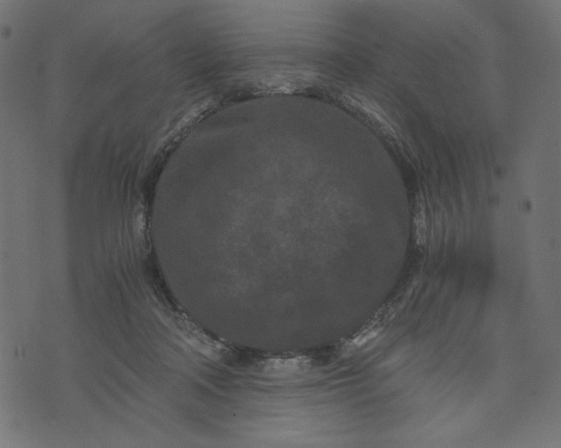 X0000073700314200608171119