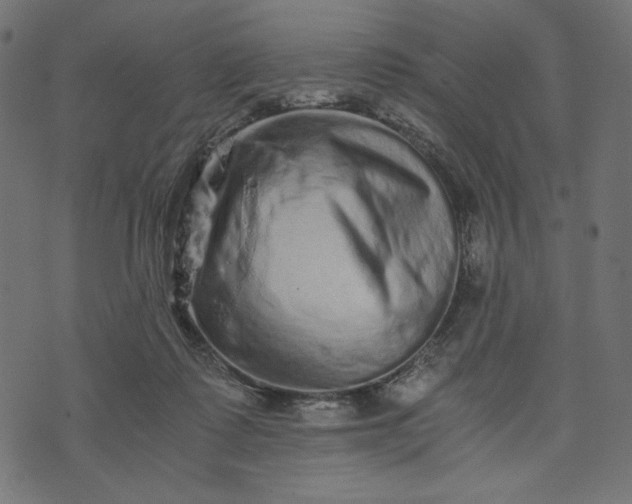 X0000073700315200608171119