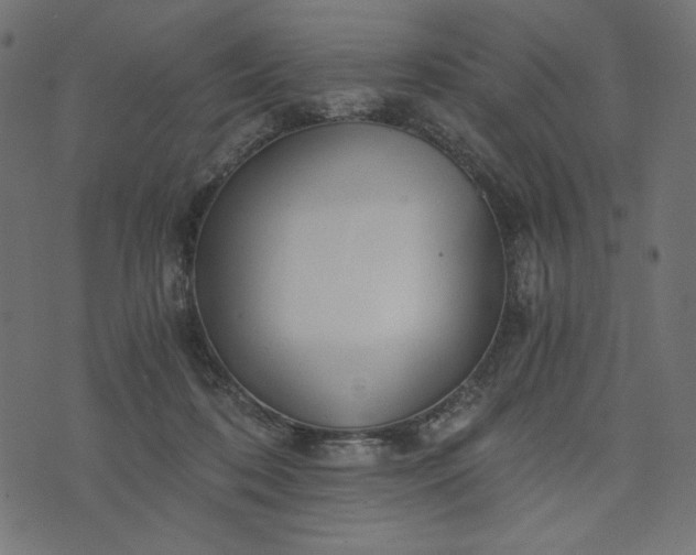 X0000073700316200608171119