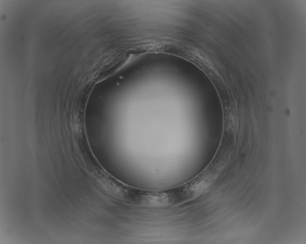 X0000073700317200608171119