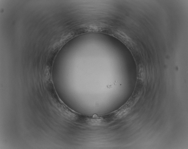 X0000073700318200608171119