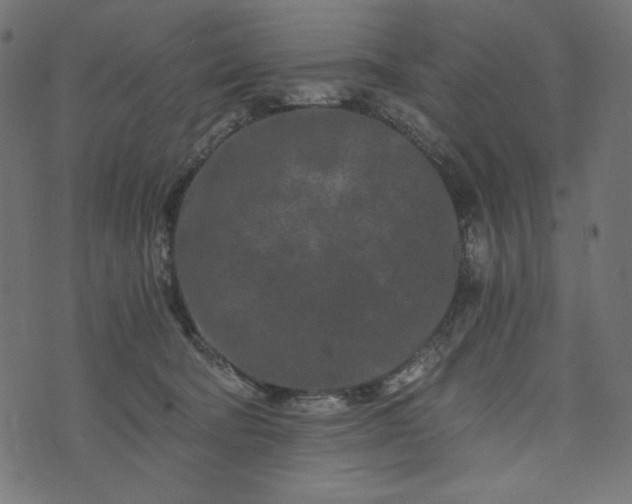 X0000073700322200608171119