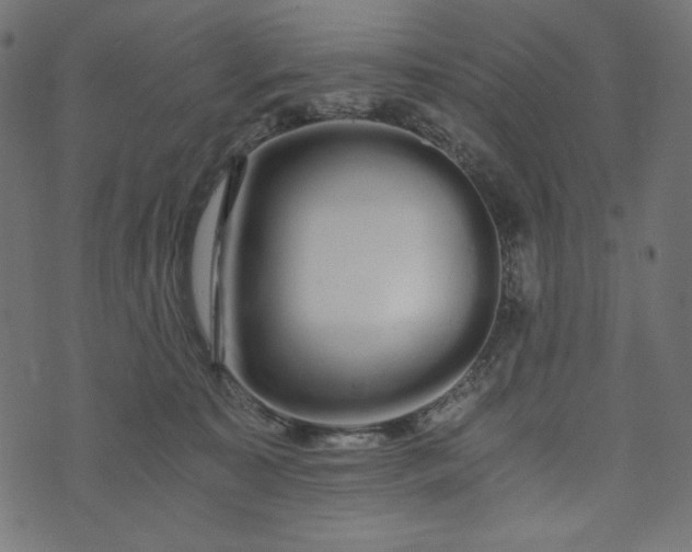 X0000073700323200608171119