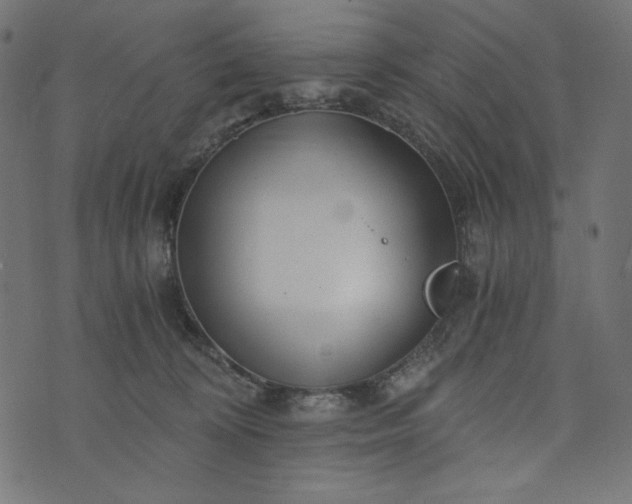 X0000073700324200608171119