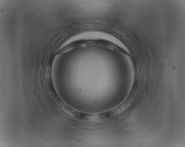 X0000073700325200608171119