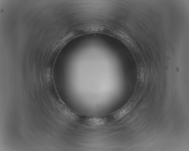 X0000073700326200608171119