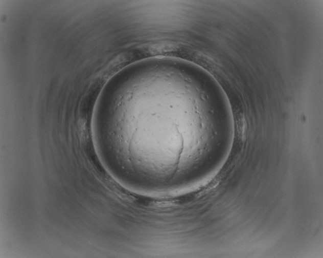 X0000073700327200608171119