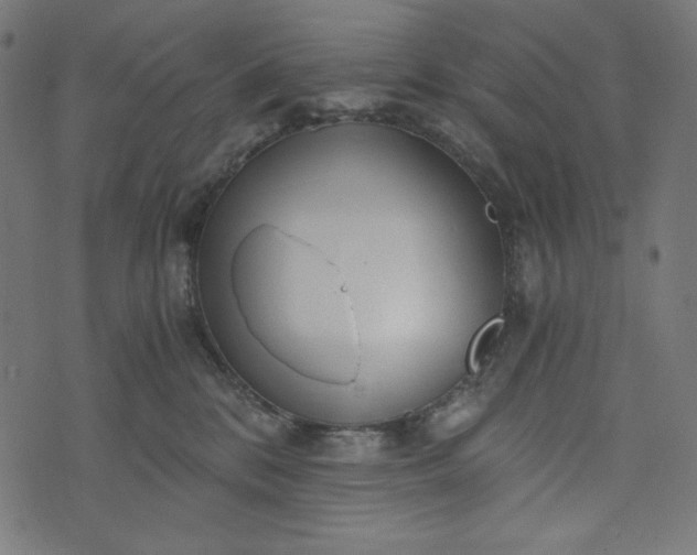 X0000073700328200608171119