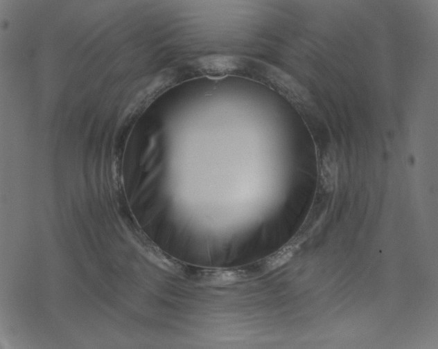 X0000073700330200608171119