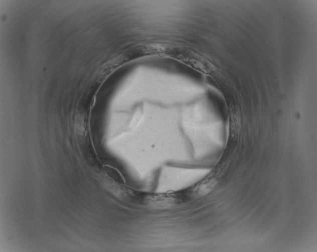 X0000073700331200608171119