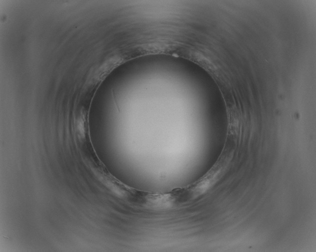 X0000073700334200608171119