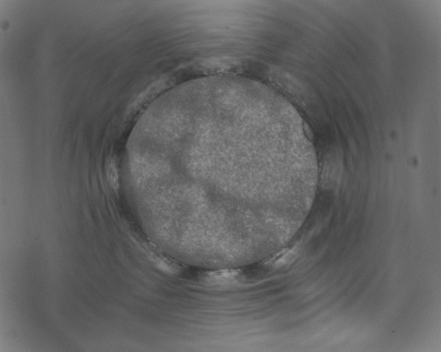 X0000073700335200608171119