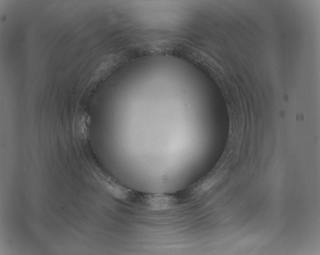 X0000073700336200608171119