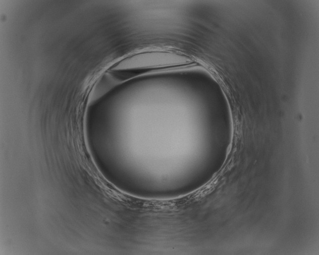 X0000073700337200608171118