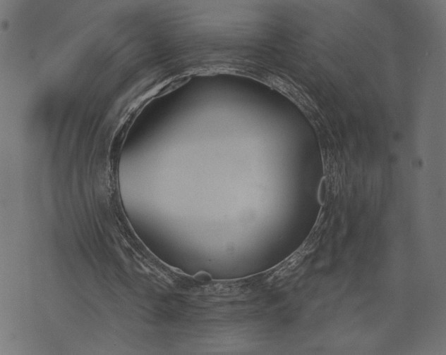 X0000073700338200608171118