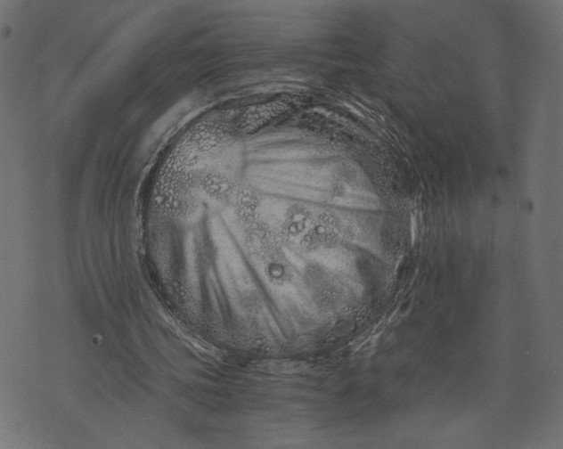 X0000073700339200608171118