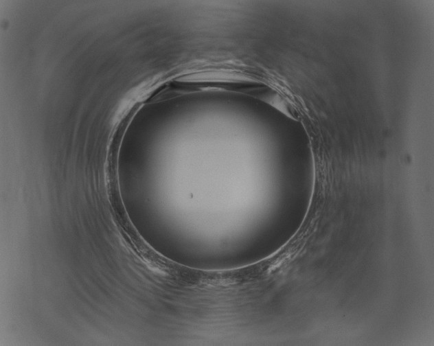 X0000073700340200608171118