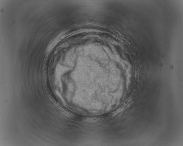 X0000073700341200608171118