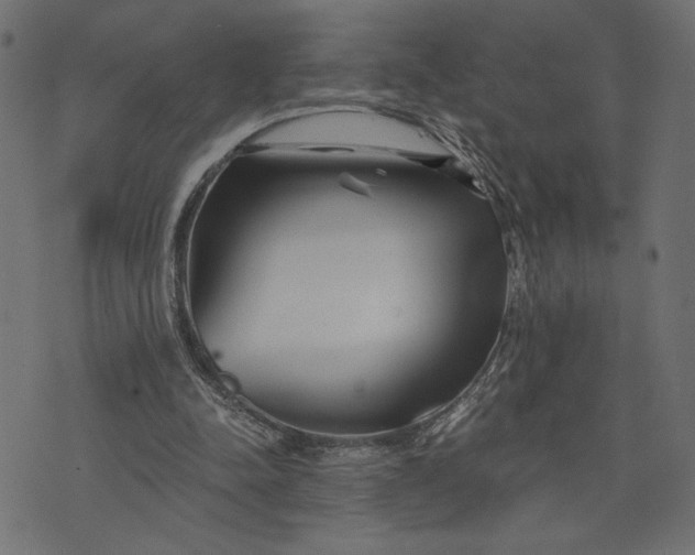 X0000073700342200608171118