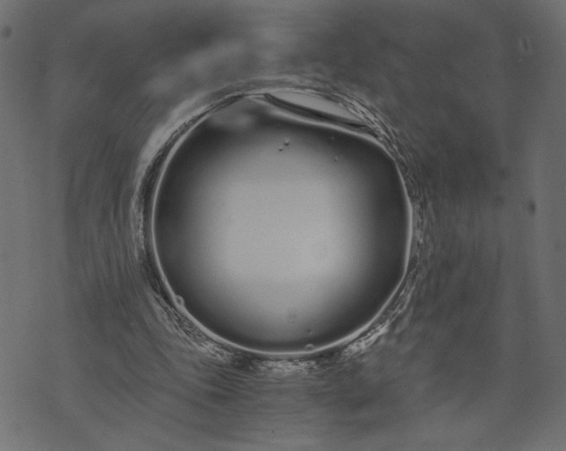 X0000073700343200608171118