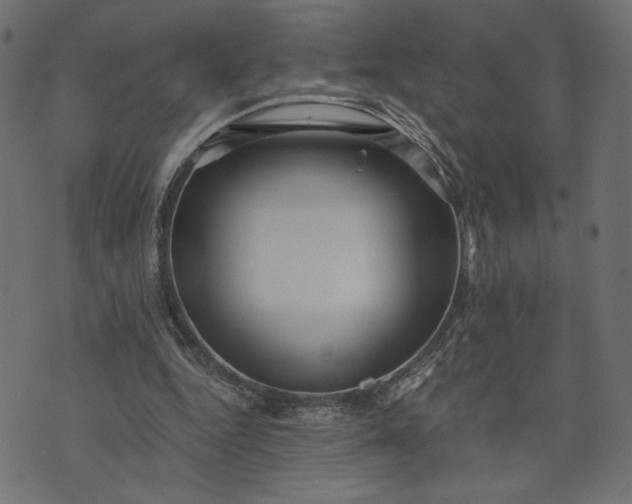 X0000073700344200608171118