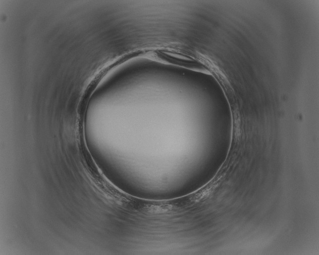 X0000073700346200608171118