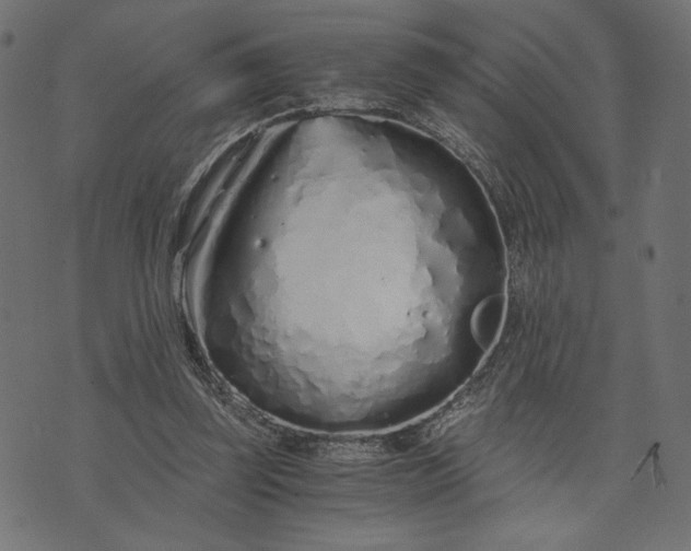 X0000073700347200608171118