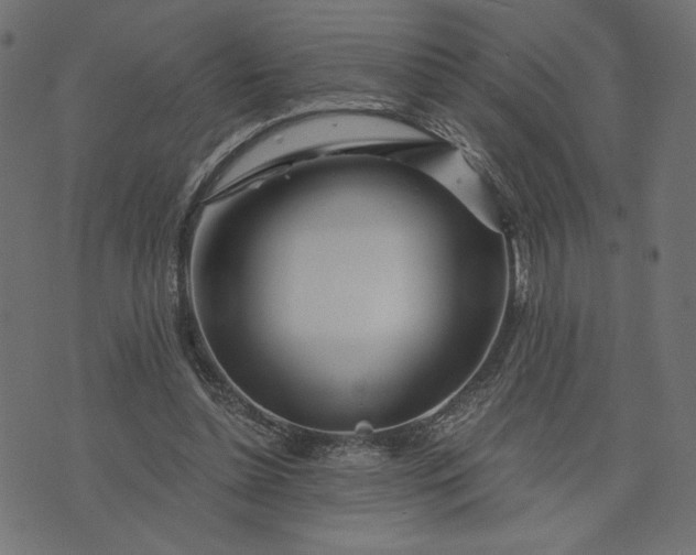 X0000073700348200608171119