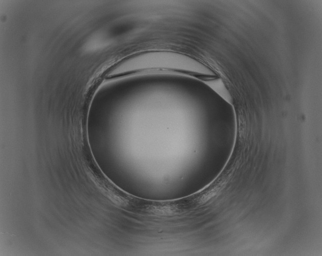 X0000073700349200608171119