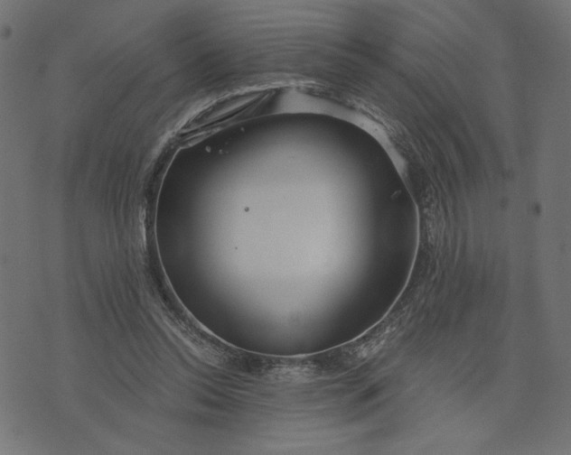 X0000073700350200608171119