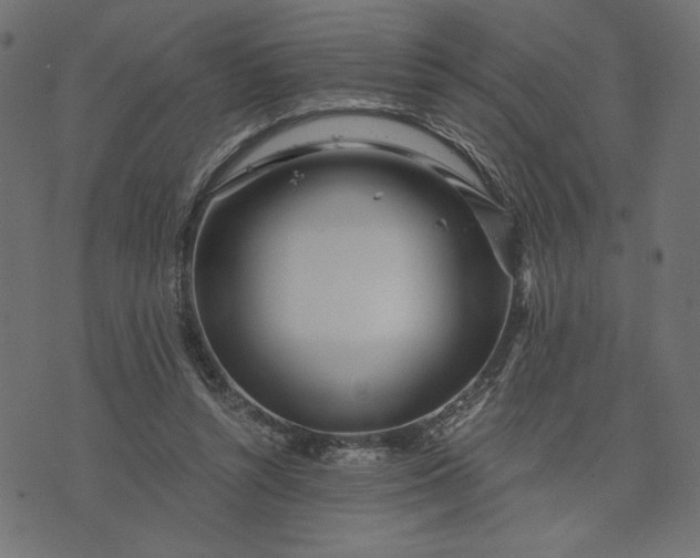 X0000073700352200608171119