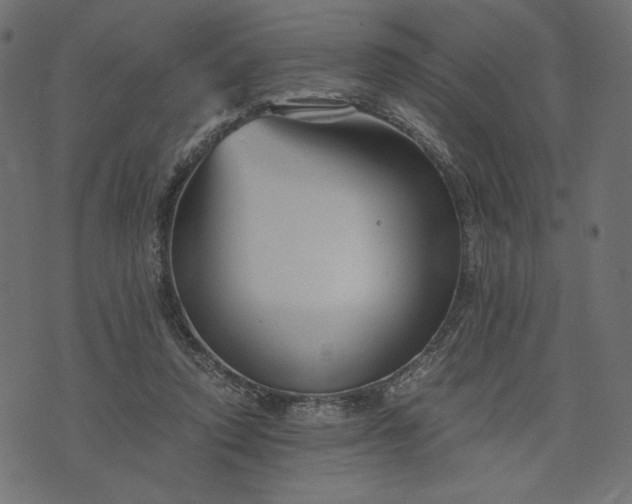 X0000073700354200608171119