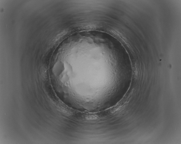 X0000073700355200608171119