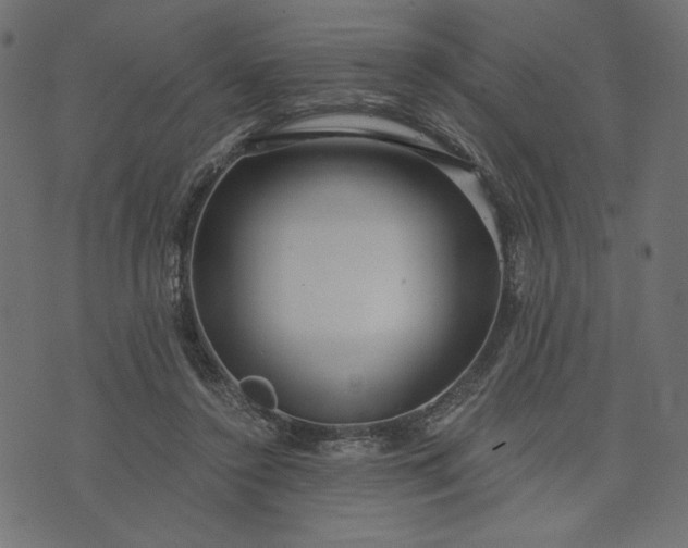 X0000073700356200608171119