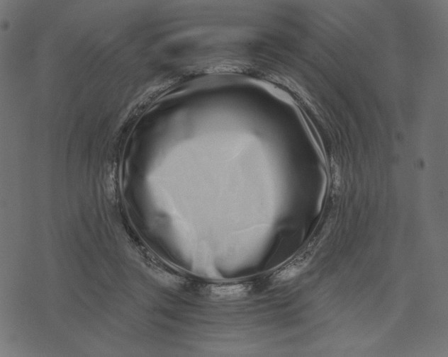 X0000073700357200608171119