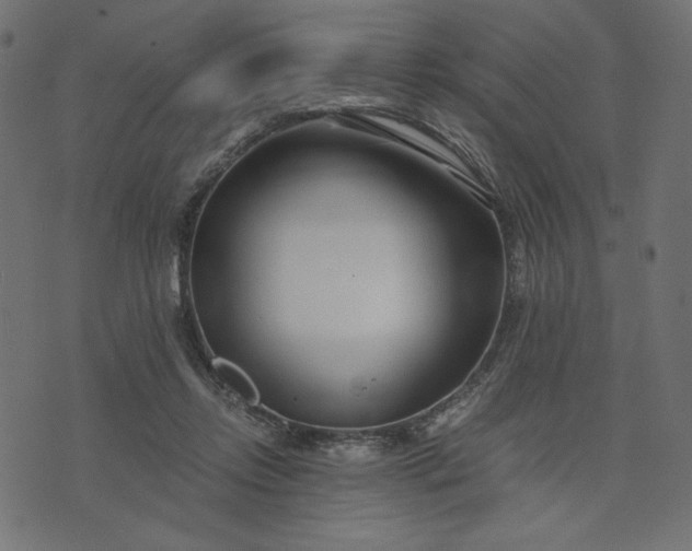 X0000073700358200608171119