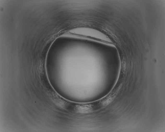 X0000073700359200608171119