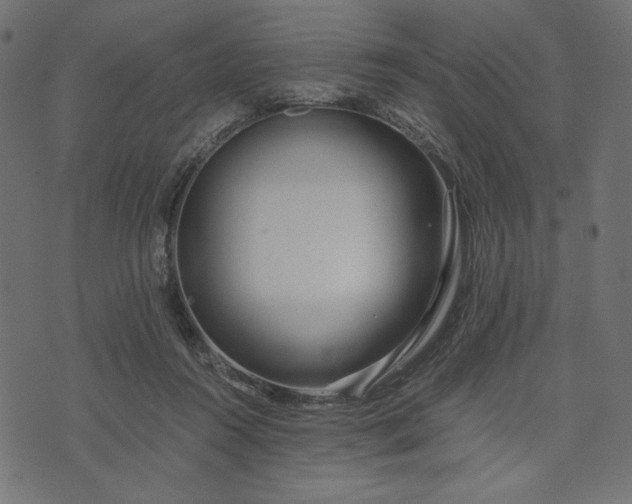 X0000073700360200608171119