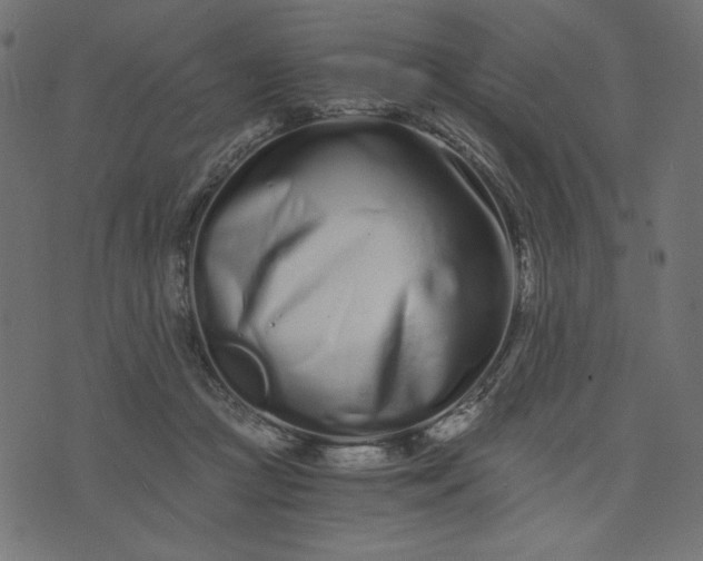 X0000073700361200608171119