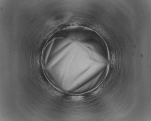 X0000073700363200608171119