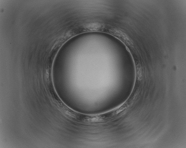 X0000073700365200608171119